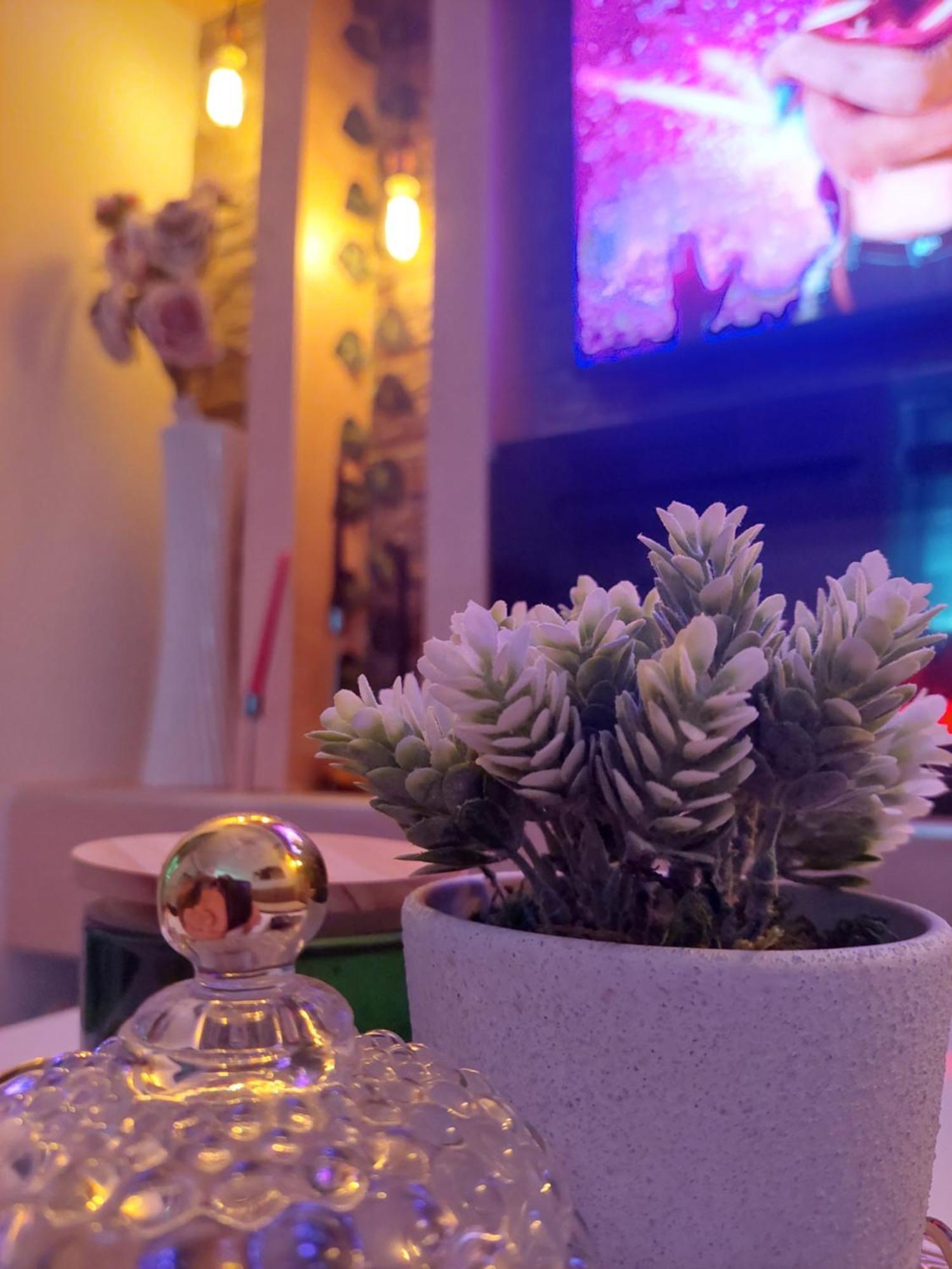 Apartman Star Lux Kula Buitenkant foto